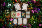 A Deck of Hope: 52 Positive Affirmation Cards