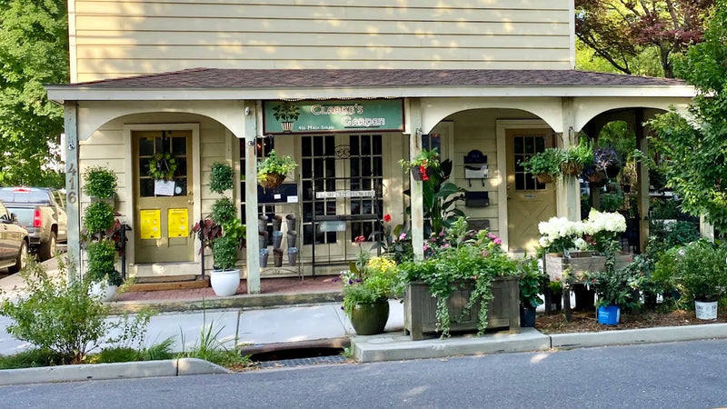 Clarke's Garden and Home