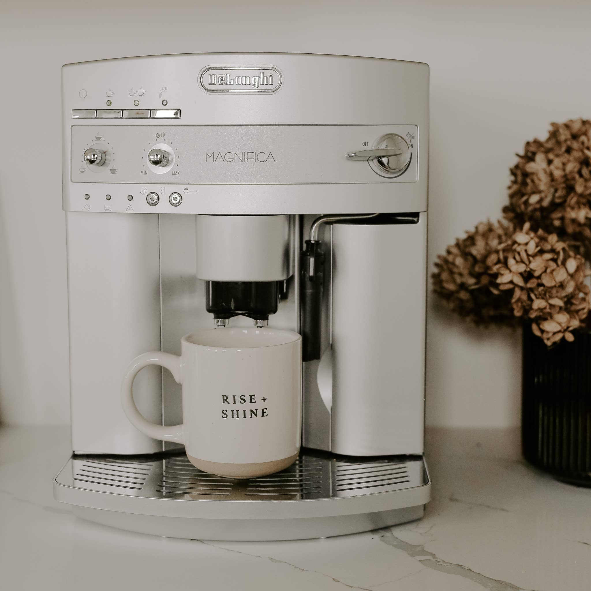 Rise and Shine Coffee Mug